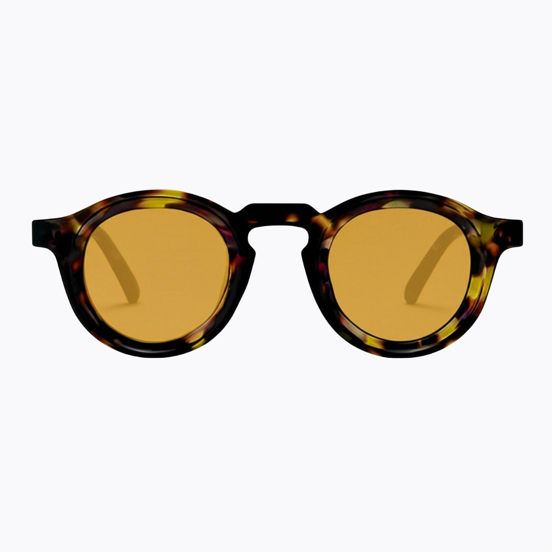 Eros Tortoise/Amber – ARVIONNE