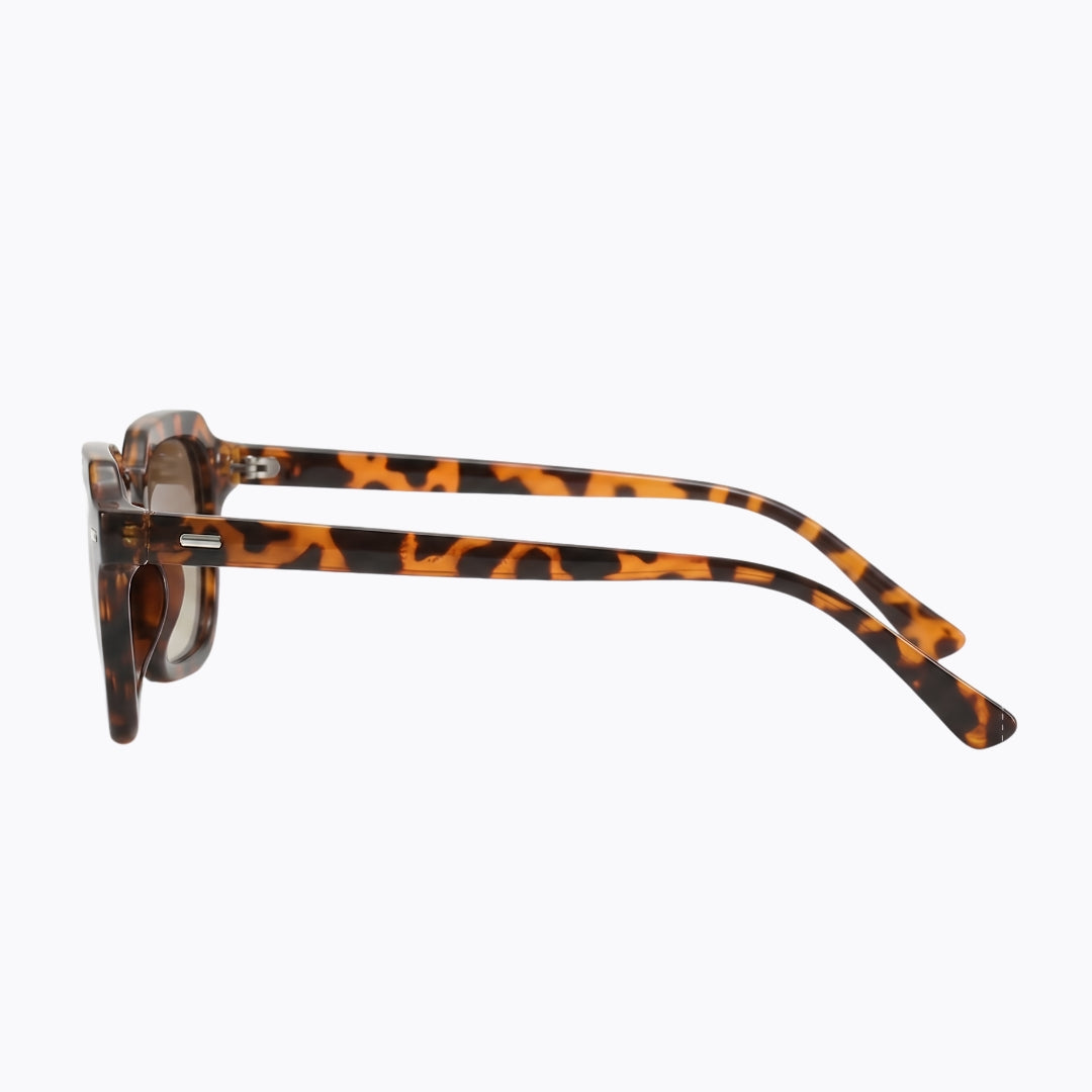 Crest Tortoise - ARVIONNE