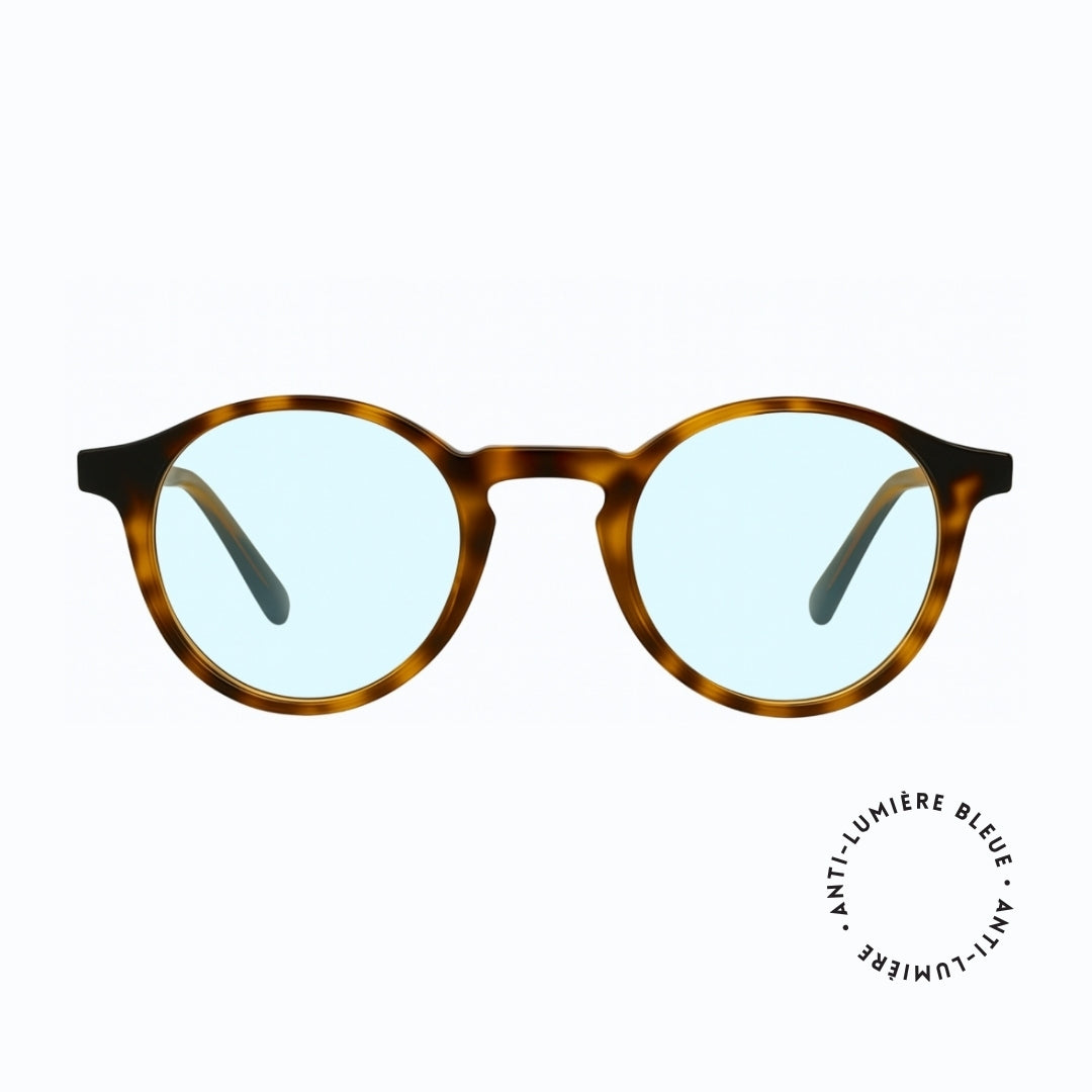 Celestia Tortoise – ARVIONNE