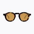 Eros Tortoise/Amber – ARVIONNE